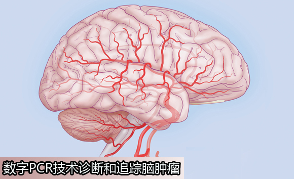 万众图库118免费印刷图